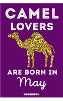 Camel Lovers Are Born In May