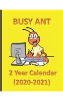 Busy Ant 2 Year Calendar (2020-2021)