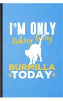 I'm Only Talking to My Burmilla Today