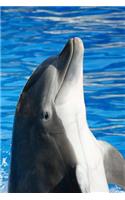 The Bottlenose Dolphin Journal: 150 page lined notebook/diary