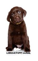 Labrador Puppy Journal: 6 x 9 inch dog notebook, Labrador Retriever, Chocolate Lab, dot grid journal, 200 pages