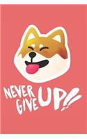 Never Give Up