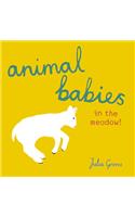 Animal Babies in the meadow!