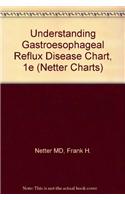 Understanding Gastroesophageal Reflux Disease Chart