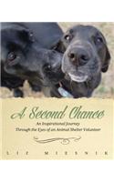 Second Chance