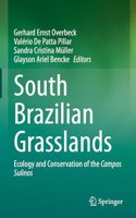 South Brazilian Grasslands