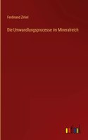 Die Umwandlungsprocesse im Mineralreich