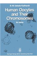 Human Oocytes and Their Chromosomes