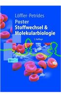 Poster Stoffwechsel