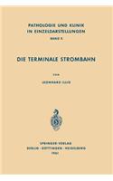 Die Terminale Strombahn