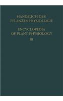 Pflanze Und Wasser / Water Relations of Plants