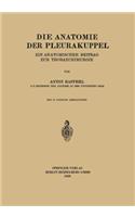 Die Anatomie Der Pleurakuppel
