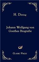 Johann Wolfgang Von Goethes Biografie