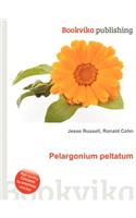 Pelargonium Peltatum