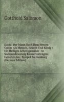 David: Der Mann Nach Dem Herzen Gottes Als Mensch, Israelit Und Konig : Ein Heiliges Lebensgemalde : In Sechsundzwanzig Kanzelvortragen, Gehalten Im . Tempel Zu Hamburg (German Edition)