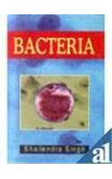 Bacteria