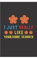 I Just Really Like Yorkshire Terrier