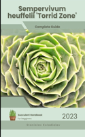 Sempervivum heuffelii 'Torrid Zone': Succulent Handbook: Complete Guide to Growing Succulent Plant