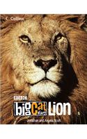 Big Cat Diary
