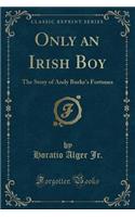 Only an Irish Boy: The Story of Andy Burke's Fortunes (Classic Reprint)
