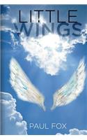 Little Wings