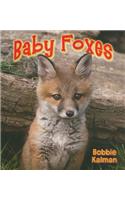Baby Foxes: (Its Fun to Learn About Baby Animals)