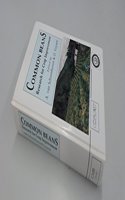 Common Beans