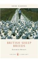 British Sheep Breeds