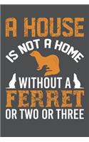 A House Is Not A Home Without A Ferret Or Two Or Three