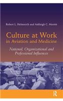 Culture at Work in Aviation and Medicine