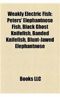 Weakly Electric Fish: Peters' Elephantnose Fish, Black Ghost Knifefish, Banded Knifefish, Blunt-Jawed Elephantnose(English)