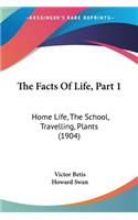 The Facts Of Life, Part 1