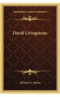 David Livingstone