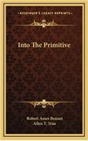 Into the Primitive