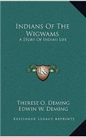 Indians of the Wigwams