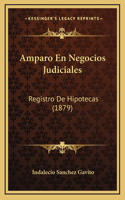 Amparo En Negocios Judiciales