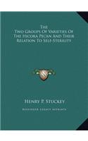 The Two Groups Of Varieties Of The Hicora Pecan And Their Relation To Self-Sterility