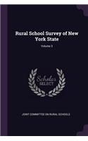 Rural School Survey of New York State; Volume 3