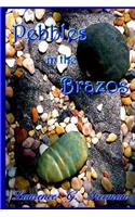 Pebbles in the Brazos: (English)