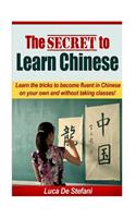 The Secret to Learn Chinese: Learn the Tricks to Become Fluent in Chinese on Your Own and Without Taking Classes.