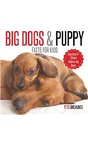 Big Dogs & Puppy Facts for Kids Dogs Book for Children Children's Dog Books