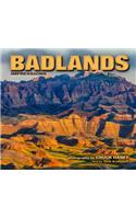 Badlands Impressions
