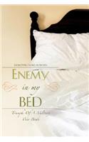 Enemy In My Bed