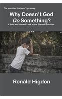 Why Doesn't God Do Something?