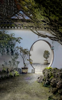 LAN Su Seasons