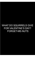 What Do Squirrels Give For Valentine's Day?