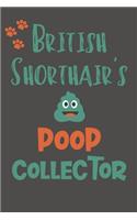 British Shorthair's Poop Collector