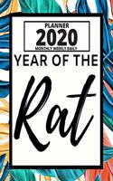 Year Of The Rat