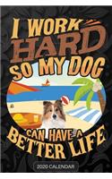 I Work Hard So My Dog Can Have A Better Life: Shetland Sheepdog 2020 Calendar - Customized Gift For Shetland Sheepdog Dog Owner