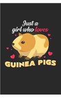 Just a girl who loves Guinea Pigs: 6x9 Guinea Pig - blank with numbers paper - notebook - notes